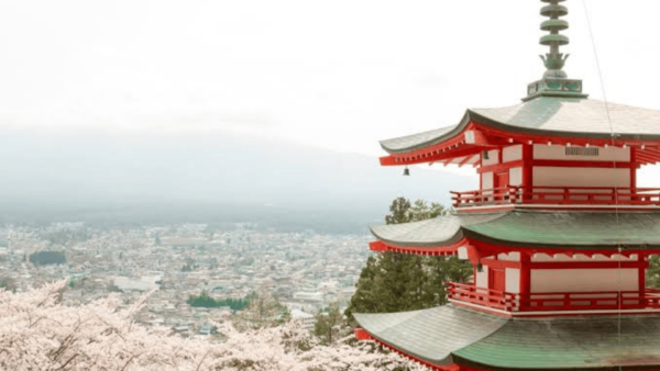 From Tokyo: Mount Fuji Private Day Trip - Accessibility Information