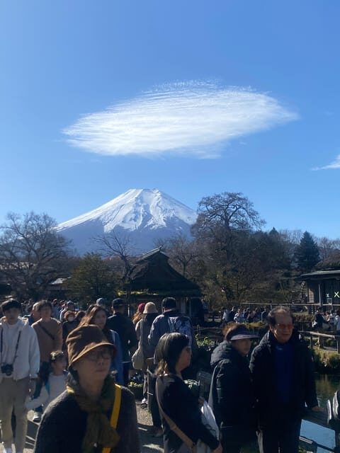 From Tokyo: Mount Fuji Private Day Trip with Pickup - Authentic Insights from Travelers