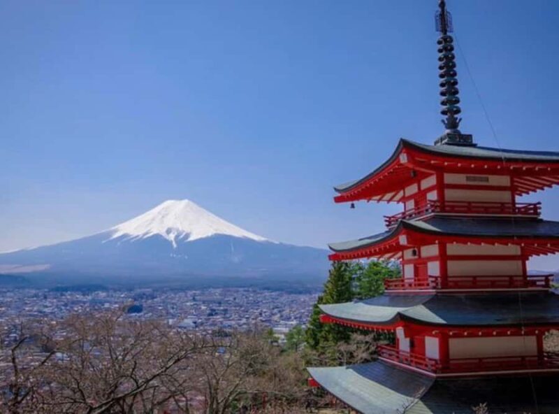 From Tokyo: Mount Fuji Private Full-Day Tour with Guide - Final Thoughts: Who Should Consider This Tour?
