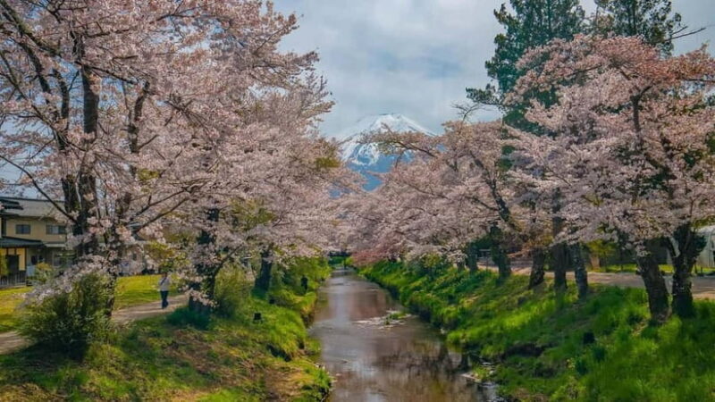 From Tokyo: Mount Fuji Private Tour with a Driver/Guide - Why Choose This Tour?