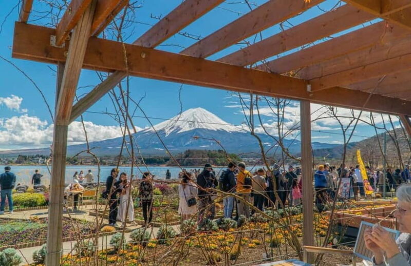 From Tokyo: Mount Fuji Private Tour with a Driver/Guide - Final Thoughts