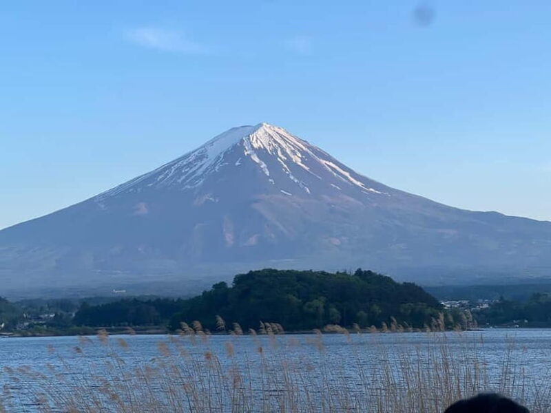 From Tokyo: Mount Fuji Private Tour with a Driver/Guide - An In-Depth Look at the Tour Itinerary and Experience