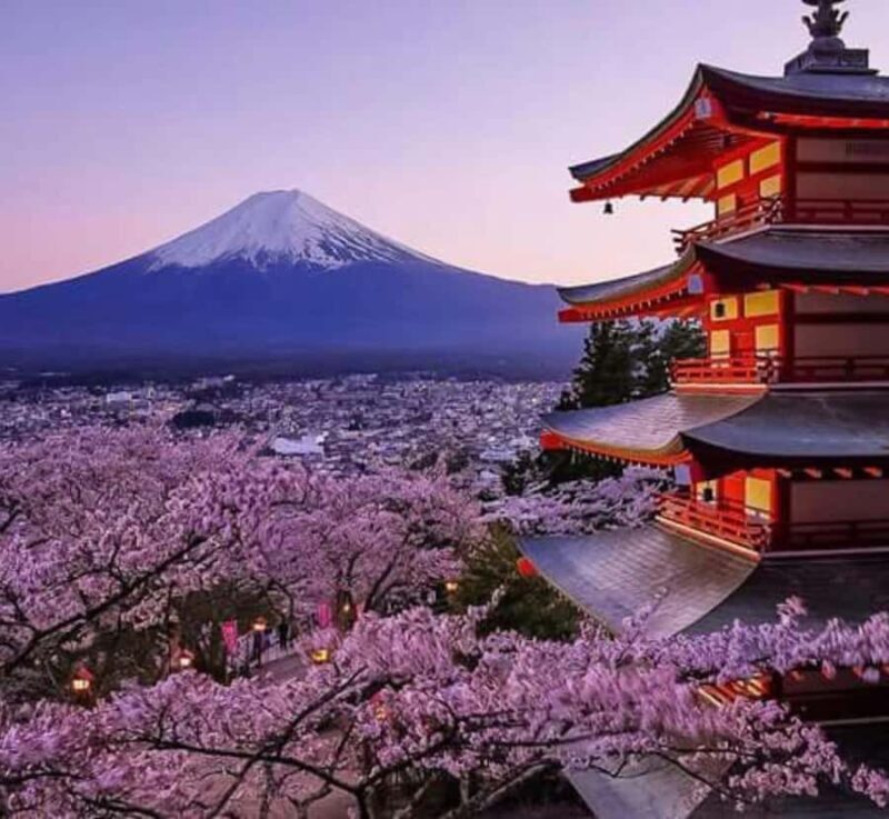 From Tokyo: Mount Fuji Private Tour with Driver-Guide - Good To Know