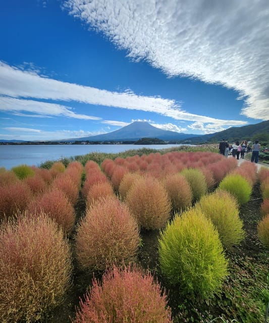 From Tokyo: Mount Fuji Private Tour With Driver - Transportation Details