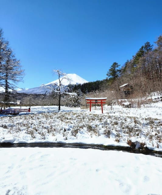 From Tokyo: Mount Fuji Private Tour With Driver - Included Amenities