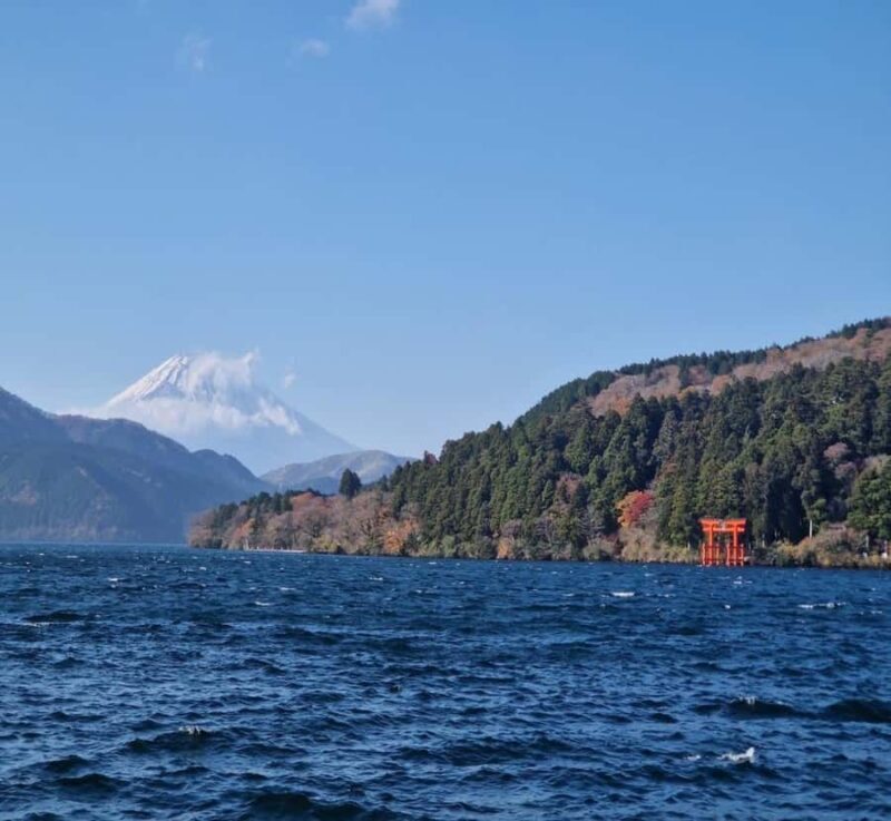 From Tokyo: Mount Fuji Private Tour with English Driver - Logistics and Practicalities  