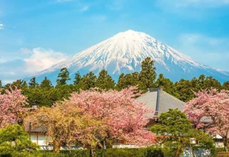 From Tokyo: Mount Fuji Private Tour With English Guide - Who Should Consider This Tour?