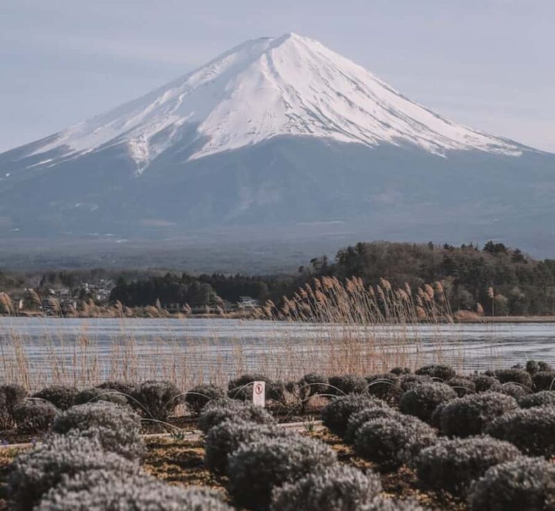 From Tokyo: Mount Fuji Private Tour with English Guide - Good To Know
