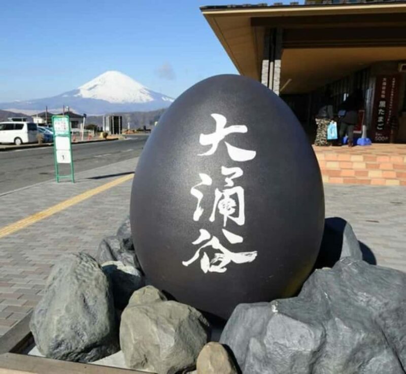 From Tokyo: Mount Fuji Private Tour with English Guide - Introduction: A Personalized Mount Fuji Experience from Tokyo