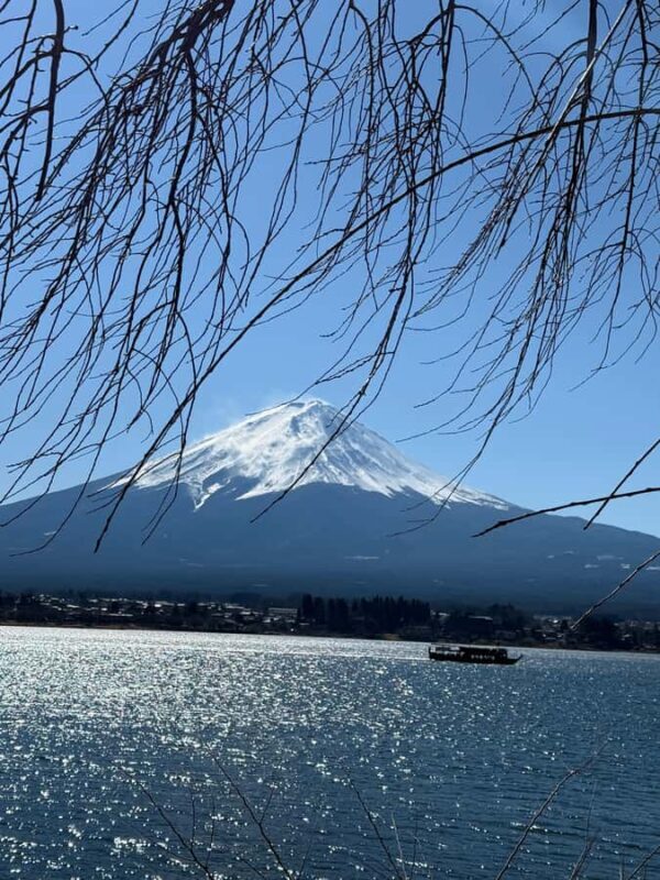 From Tokyo : Mount Fuji Private Tour with English Guide - Authentic Experiences and Hidden Gems