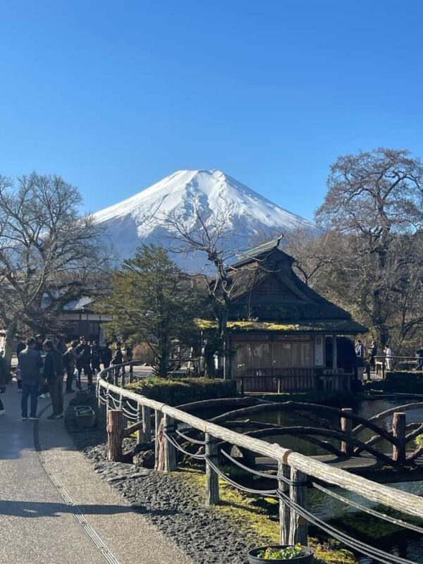 From Tokyo : Mount Fuji Private Tour With English Guide - Who Will Love This Tour?