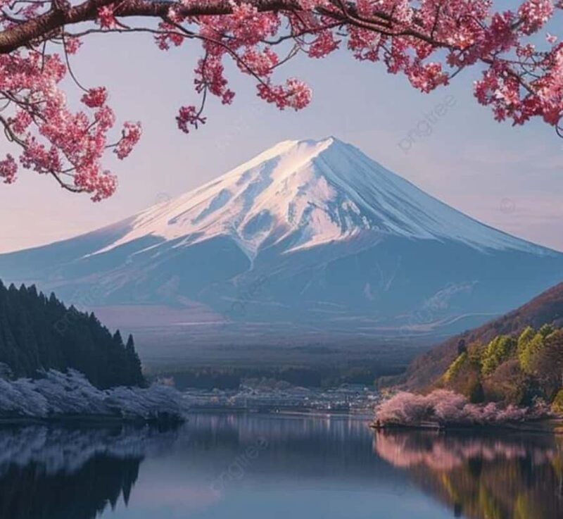 From Tokyo: Mount Fuji Private Tour with English Guide - Good To Know