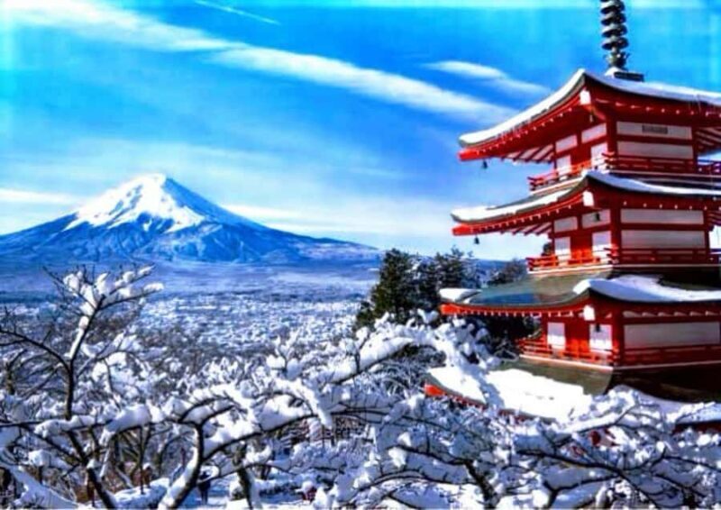 From Tokyo : Mount Fuji Private Tour With English Guide - Good To Know