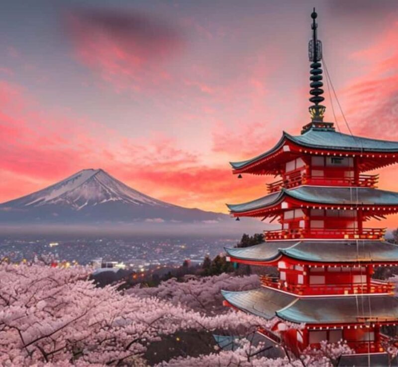 From Tokyo: Mount Fuji Private Tour with English Guide - FAQ