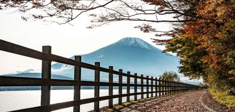 From Tokyo: Mount Fuji Private Tour with Professional Guide - The Beauty of a Private Mount Fuji Tour
