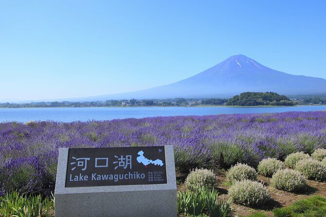 From Tokyo: Mount Fuji Sightseeing Full Day Trip - What to Expect from the Itinerary