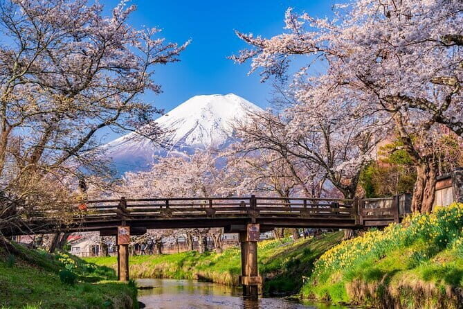 From Tokyo: Mount Fuji Sightseeing One Day Trip - Good To Know