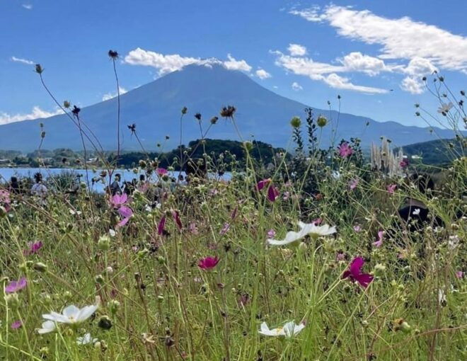 From Tokyo: Mount Fuji Sightseeing Private Group Tour - Important Information