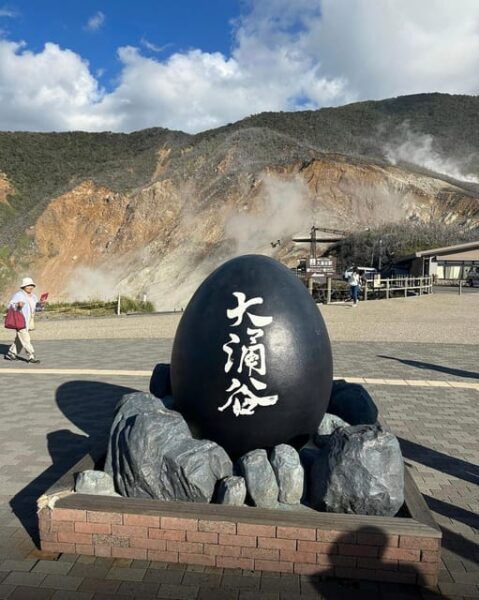 From Tokyo: Mount Fuji Sightseeing Private Group Tour - Pricing Details