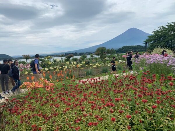 From Tokyo: Mount Fuji Sightseeing Private Group Tour - Booking Process