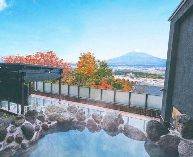 From Tokyo: Mount Fuji Skiing and Hot Springs Day Tour - Full Description