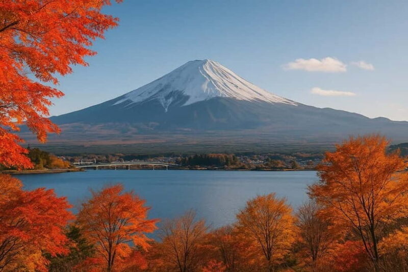 From Tokyo: Mount Fuji's Highlights Private Day Tour - Who Will Love This Tour?