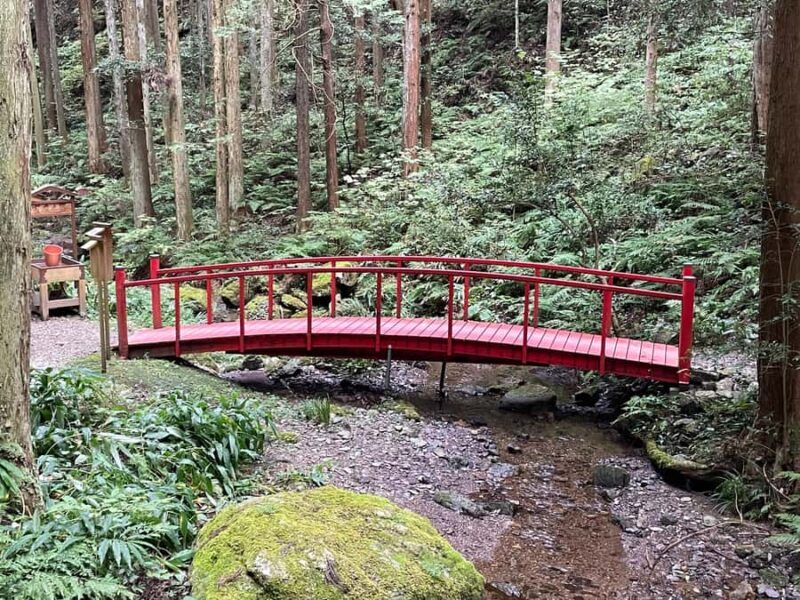 From Tokyo: Mountain Ridge Hike & Scenic Waterfall Day Tour - Good To Know