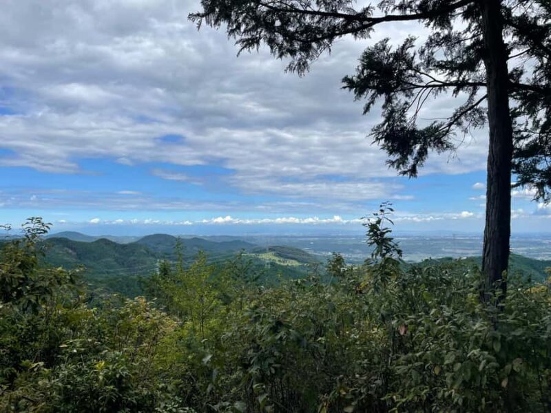 From Tokyo: Mountain Ridge Hike & Scenic Waterfall Day Tour - The Sum Up