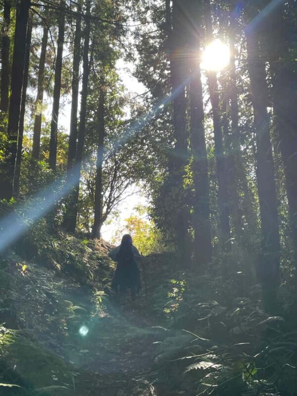 From Tokyo: Mountain Ridge Hike & Scenic Waterfall Day Tour - FAQ