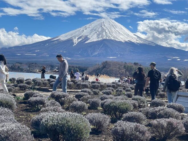 From Tokyo: Mt. Fuji 1 Day Private Tour With English Driver - Inclusions and Exclusions