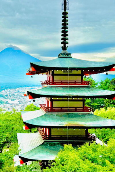 From Tokyo: Mt. Fuji 1 Day Private Tour With English Driver - Tips for Your Tour