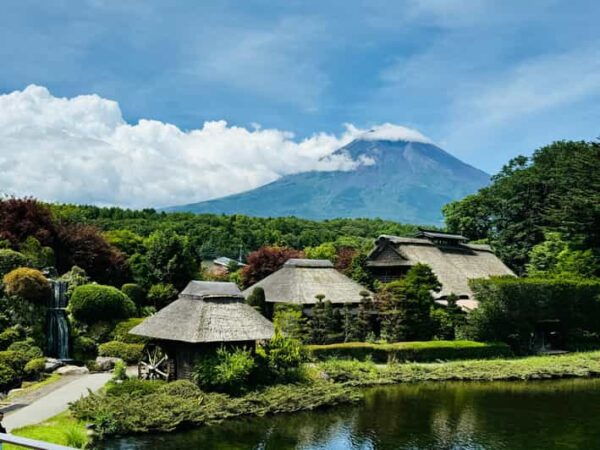 From Tokyo: Mt. Fuji 1 Day Private Tour With English Driver - Nearby Attractions