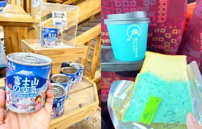 From Tokyo: Mt. Fuji 5th Station & Hot Spring Day Trip - Cost and Value