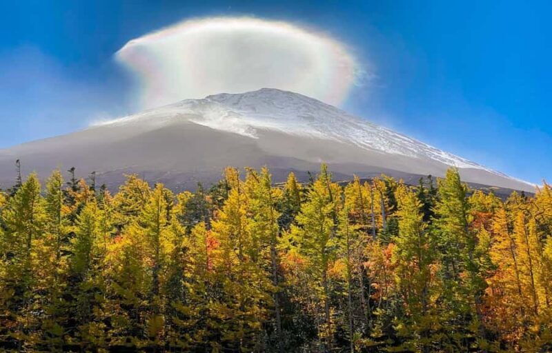 From Tokyo: Mt. Fuji 5th Station & Hot Spring Day Trip - An Honest Look at a Well-Rated Japanese Adventure