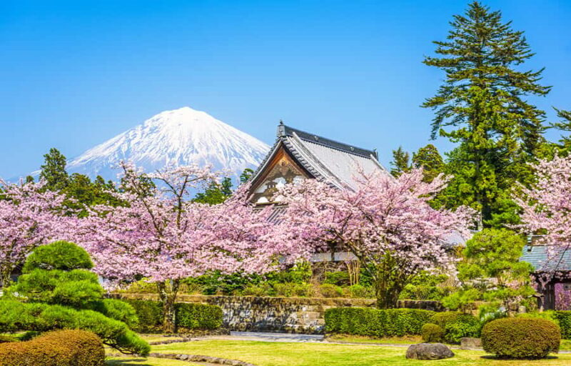 From Tokyo: Mt. Fuji 5th Station & Hot Spring Day Trip - Who Would Love This Tour?