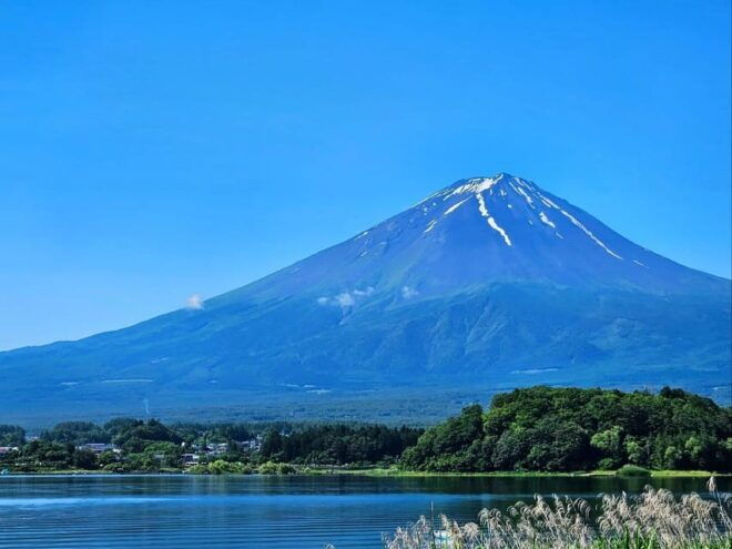 From Tokyo: Mt Fuji, 5th Station, & Hot Springs Day Trip - Inclusions of the Tour