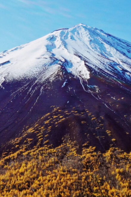 From Tokyo: Mt Fuji, 5th Station, & Hot Springs Day Trip - Customer Experiences