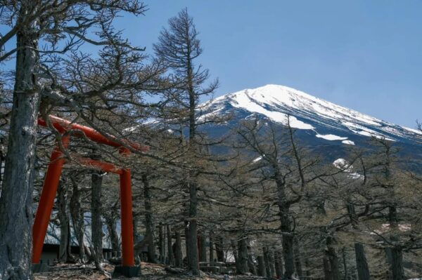 From Tokyo: Mt Fuji, 5th Station, & Hot Springs Day Trip - What to Bring