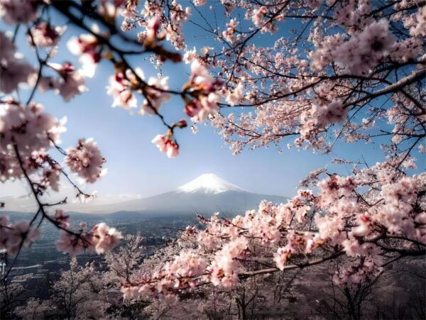 From Tokyo: Mt Fuji, 5th Station, & Hot Springs Day Trip - Frequently Asked Questions