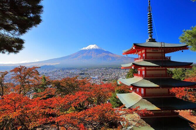 From Tokyo: Mt. Fuji 6 Attractions: Lake Kawaguchi, Oshino Hakkai - Arakurayama Sengen Park: Japan’s Most Photographed View