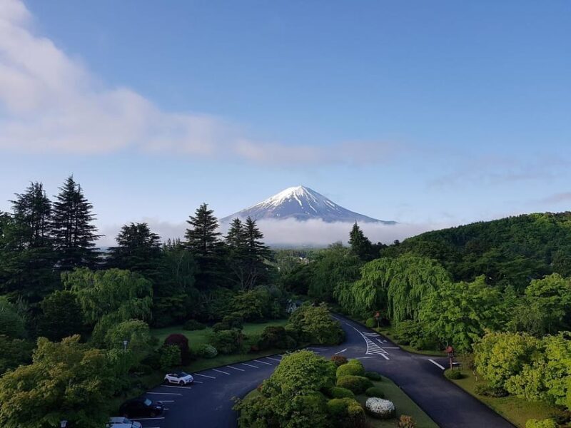 From Tokyo: Mt. Fuji And Hakone Private Sightseeing Day Trip - The Experience at a Glance