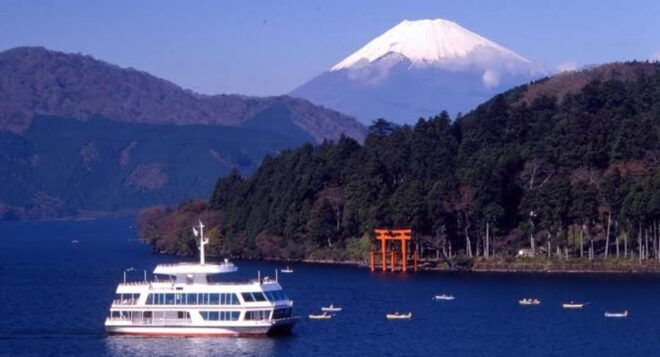 From Tokyo: Mt Fuji and Hakone Ropeway Private Tour - Experience and Comfort