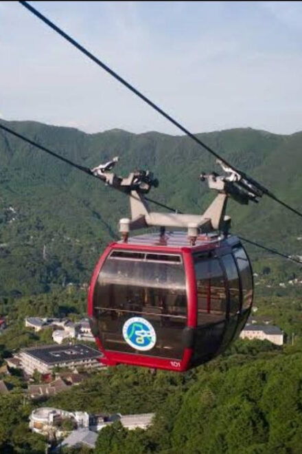 From Tokyo: Mt Fuji and Hakone Ropeway Private Tour - Inclusions and Exclusions
