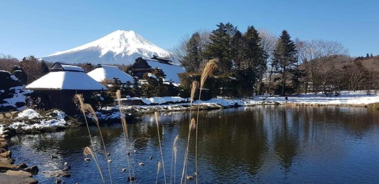 From Tokyo: Mt Fuji and Lake Kawaguchiko Private Day Trip - Good To Know