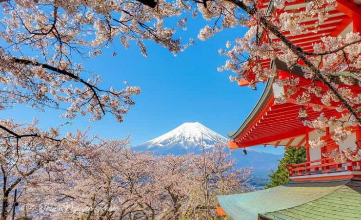 From Tokyo: Mt Fuji and Lake Kawaguchiko Private Day Trip - Itinerary Highlights