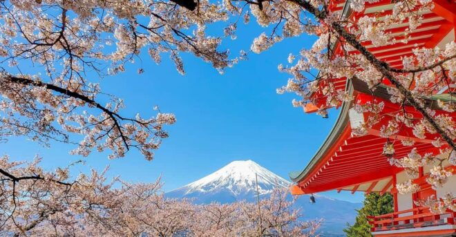 From Tokyo: Mt Fuji and Lake Kawaguchiko Private Day Trip - Transportation and Accessibility