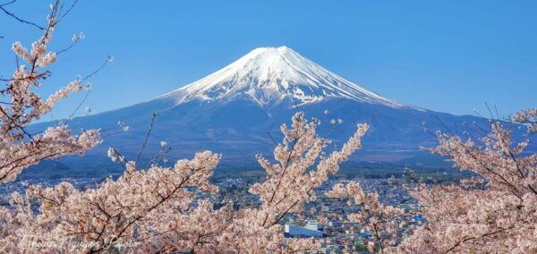 From Tokyo: Mt Fuji and Lake Kawaguchiko Private Day Trip - Additional Activities