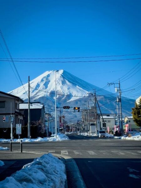 From Tokyo: Mt Fuji and Lake Kawaguchiko Private Day Trip - Customization Options