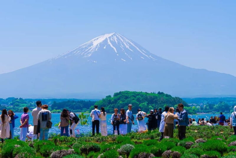 From Tokyo: Mt Fuji, Arakurayama and Kawaguchi Lake Day Trip - Practical Tips for Travelers