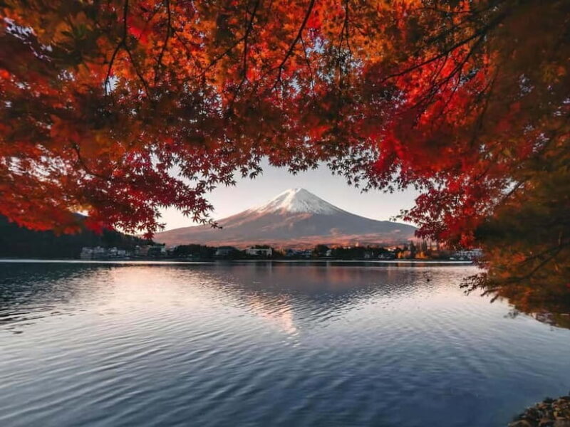 From Tokyo: Mt Fuji, Arakurayama and Kawaguchi Lake Day Trip - The Itinerary: A Closer Look at Each Stop